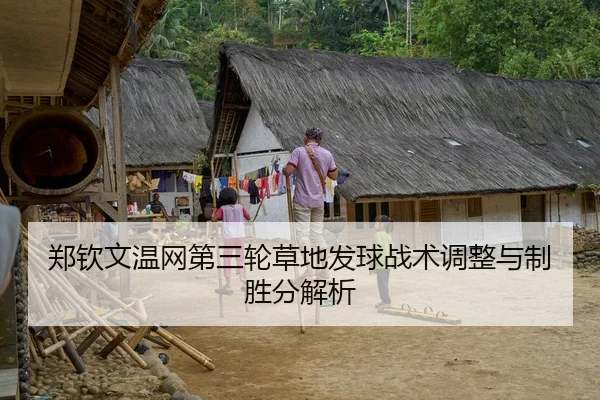 郑钦文温网第三轮草地发球战术调整与制胜分解析
