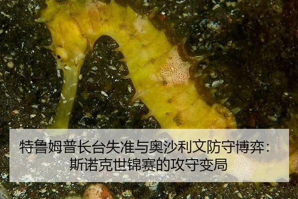 特鲁姆普长台失准与奥沙利文防守博弈：斯诺克世锦赛的攻守变局